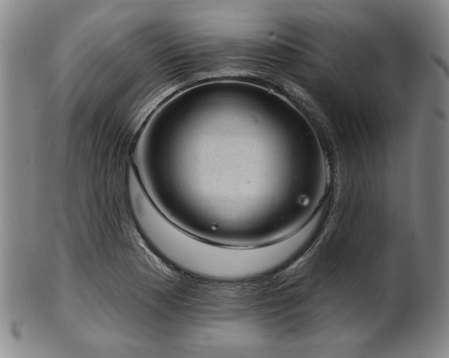 X0000102461177200808081221