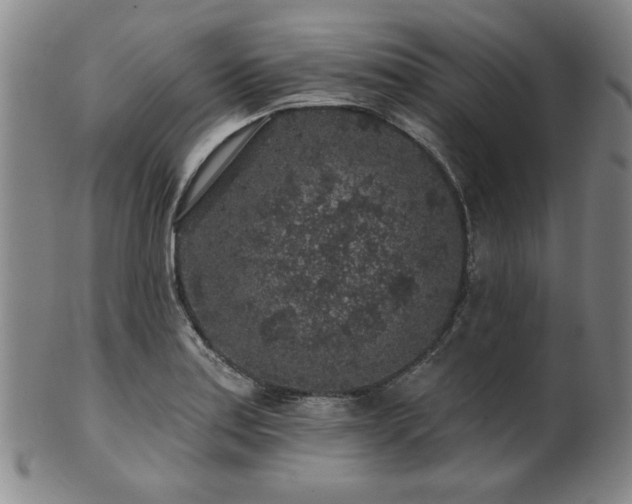 X0000102461179200808081221