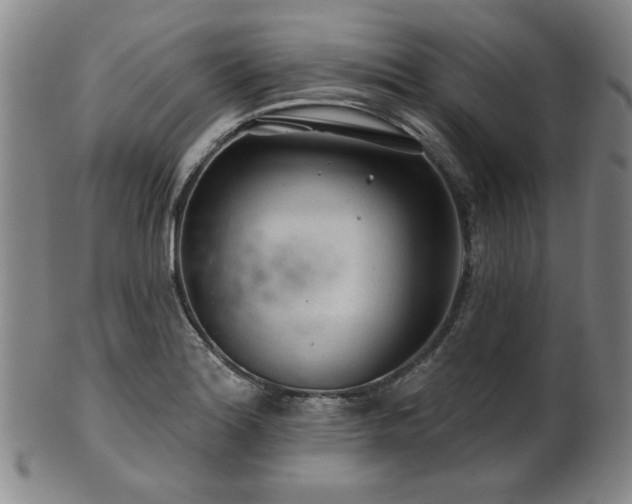 X0000102461180200808081221