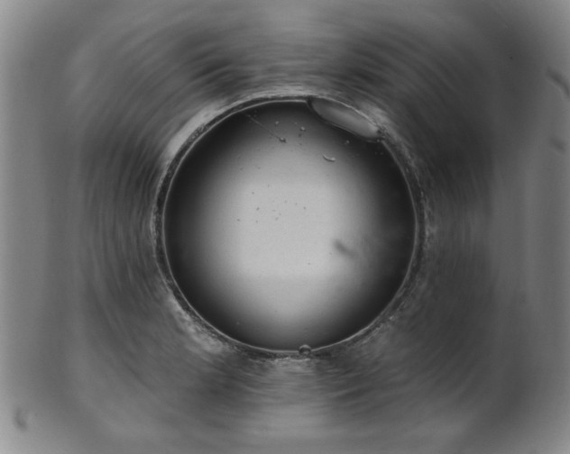 X0000102461181200808081221