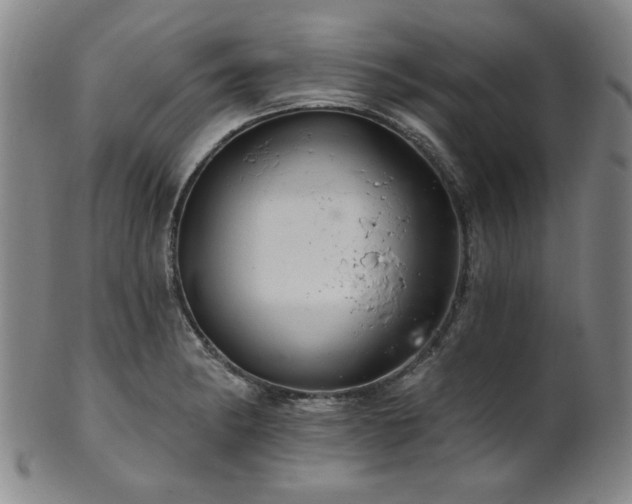 X0000102461182200808081221