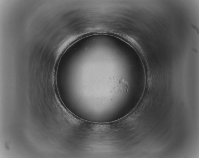 X0000102461183200808081221