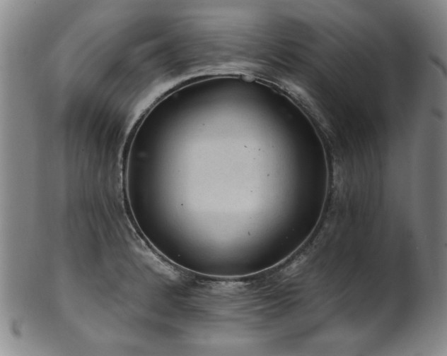 X0000102461184200808081221