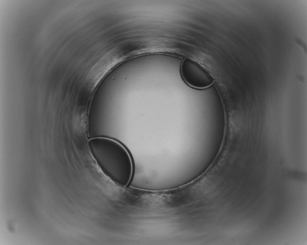 X0000102461185200808081221
