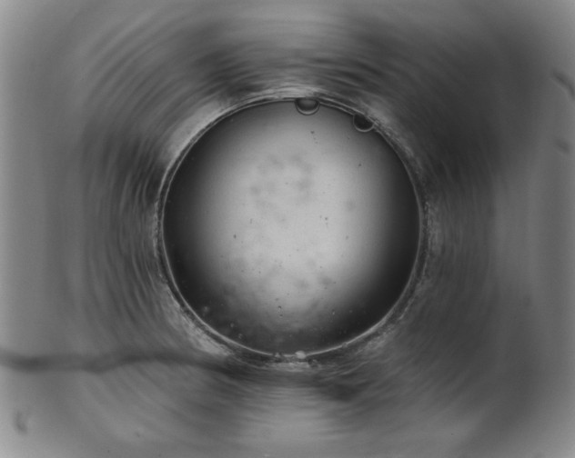 X0000102461186200808081220
