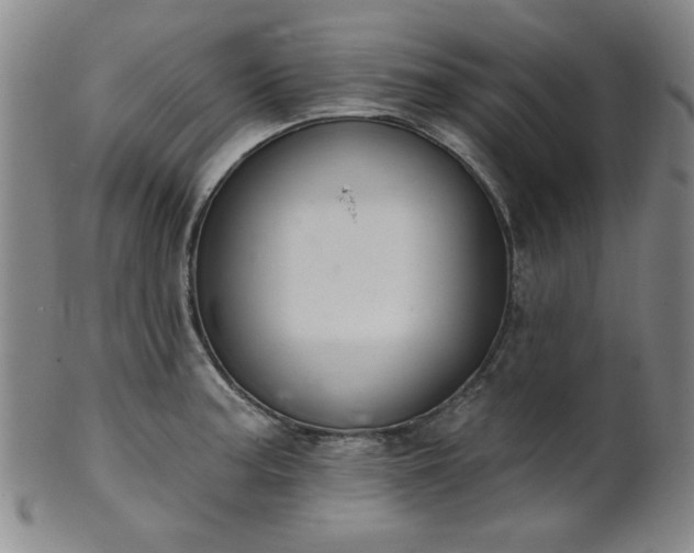 X0000102461187200808081220