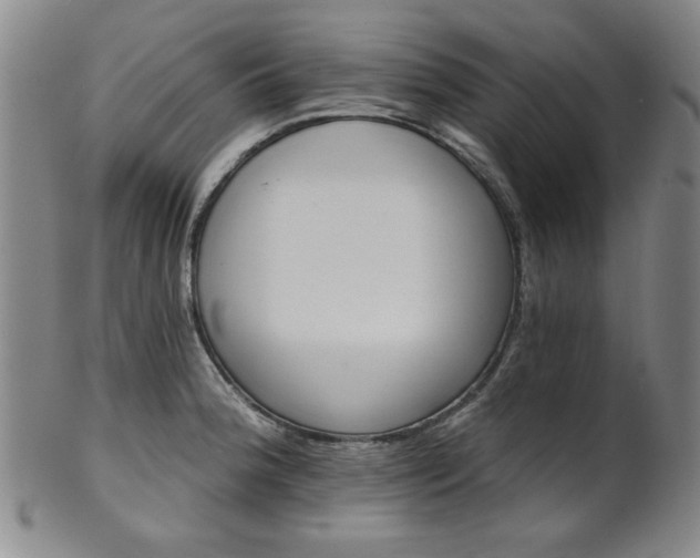 X0000102461188200808081220