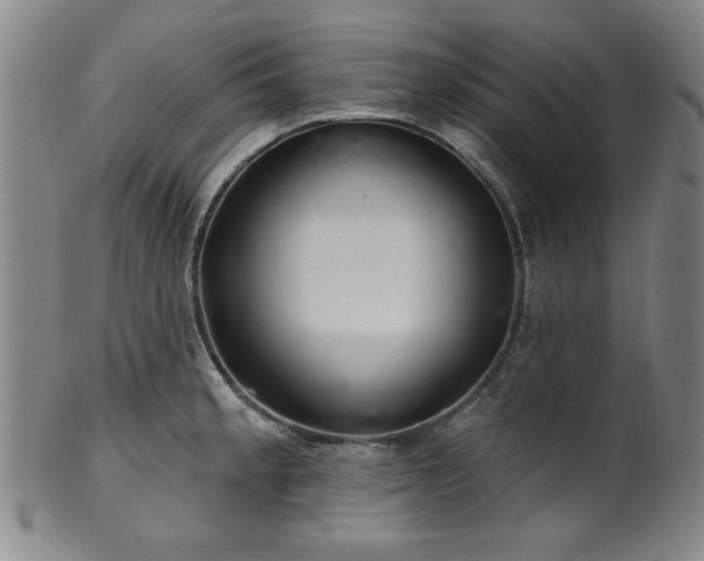 X0000102461189200808081220