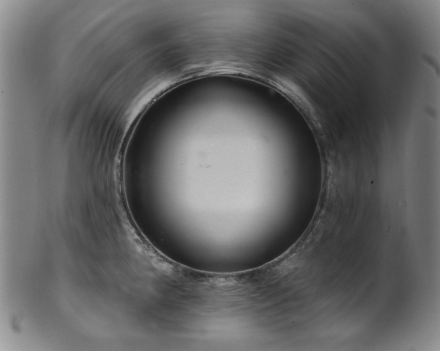 X0000102461190200808081220