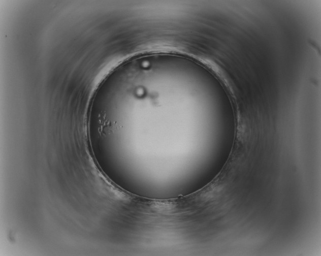 X0000102461191200808081220