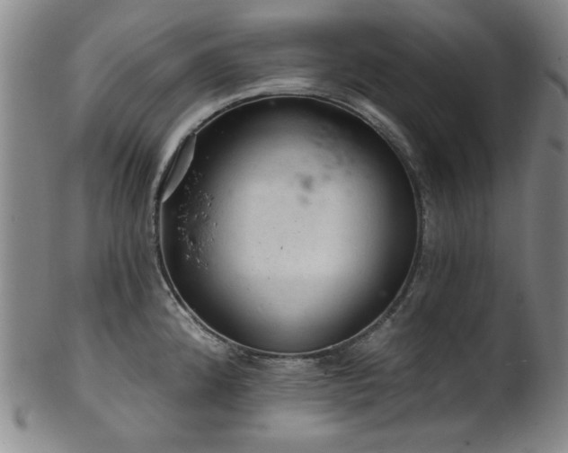X0000102461192200808081220