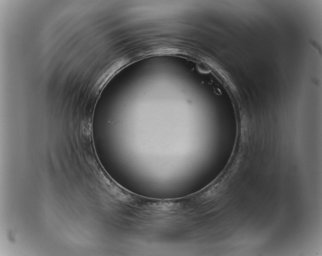 X0000102461193200808081220