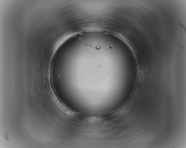 X0000102461195200808081220