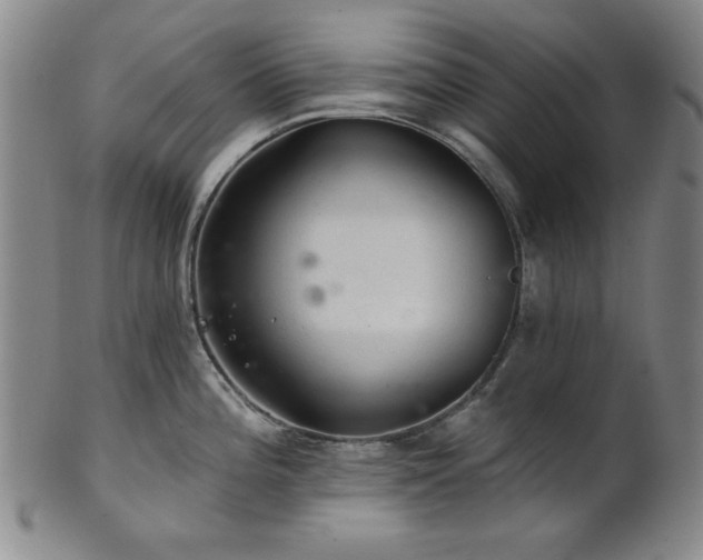 X0000102461196200808081220