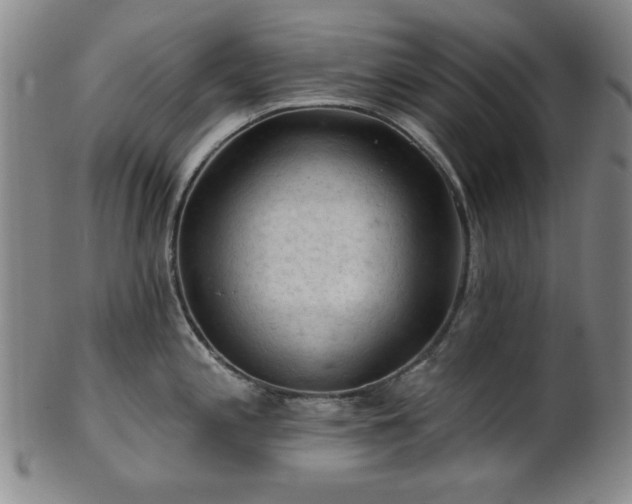 X0000102461197200808081220