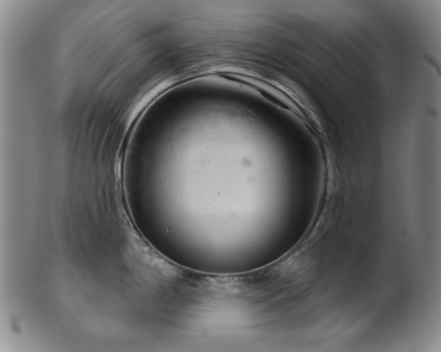 X0000102461198200808081220