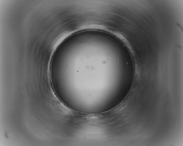 X0000102461199200808081220