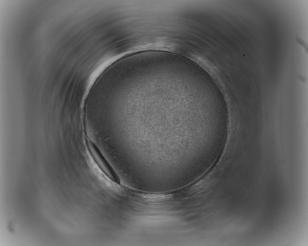 X0000102461200200808081220