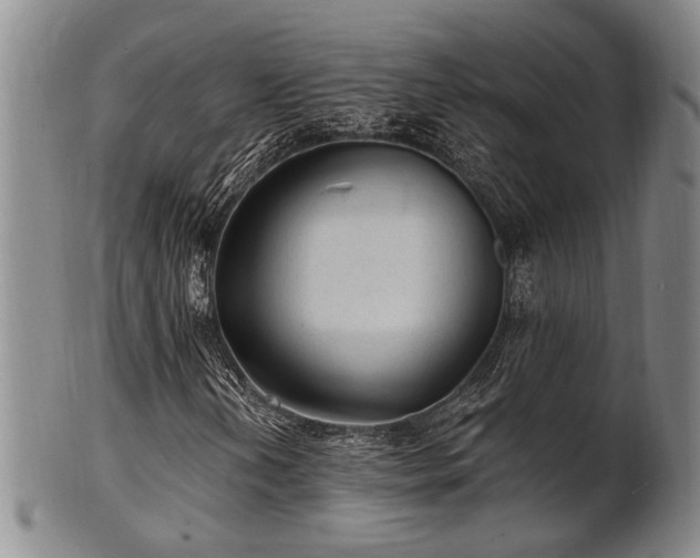 X0000102461202200808081220