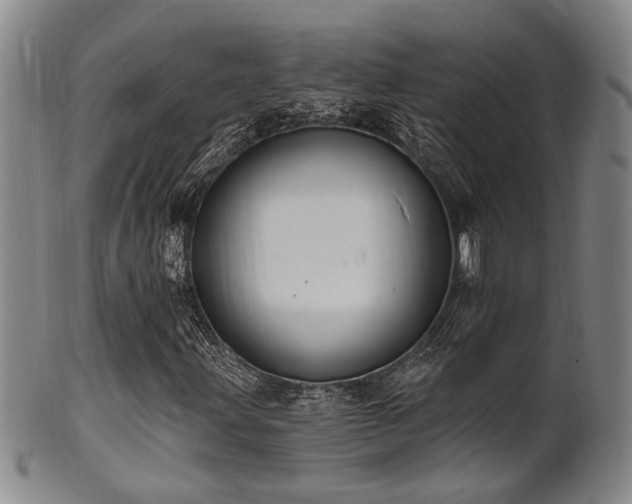 X0000102461203200808081220