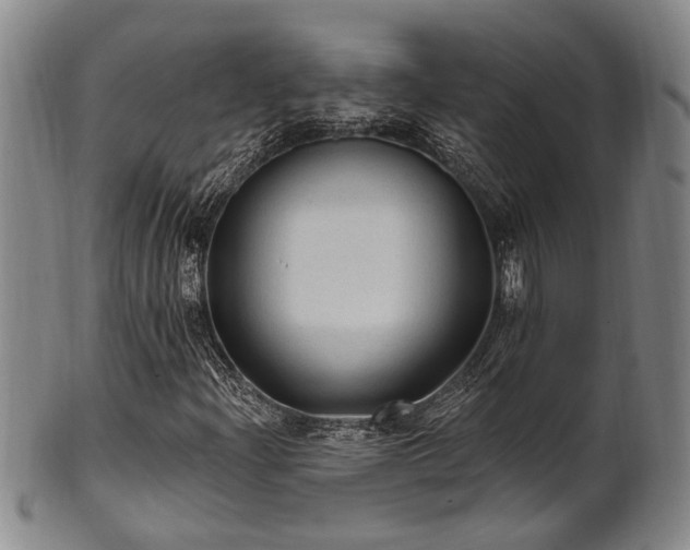 X0000102461204200808081220