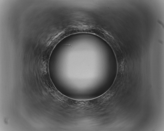 X0000102461205200808081220