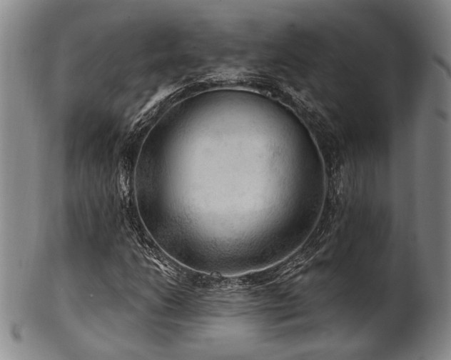 X0000102461206200808081220