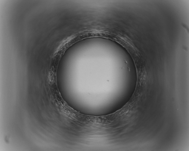 X0000102461207200808081220
