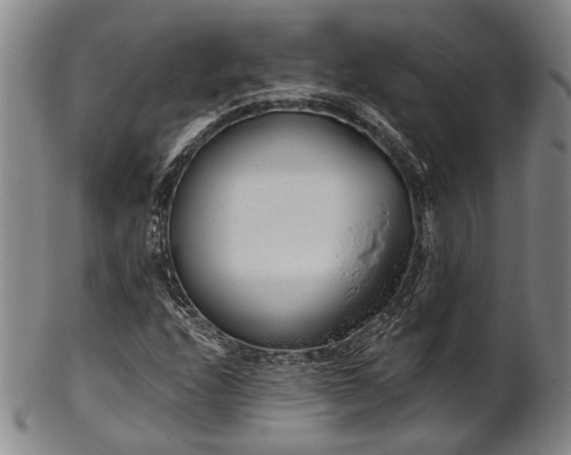 X0000102461208200808081220