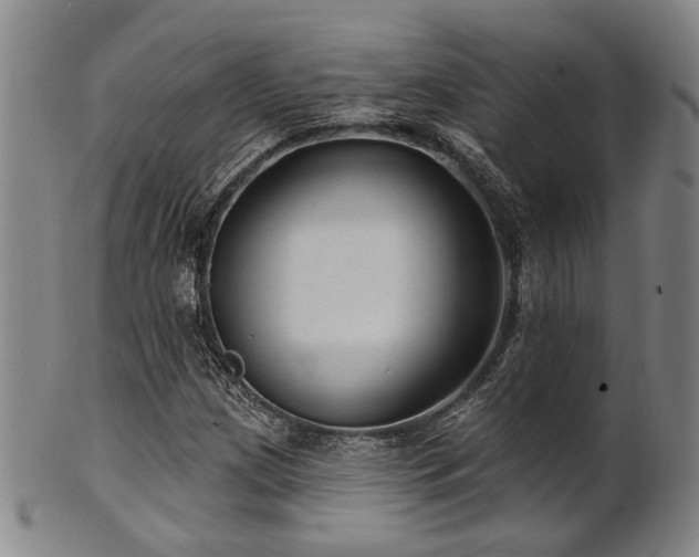 X0000102461209200808081220