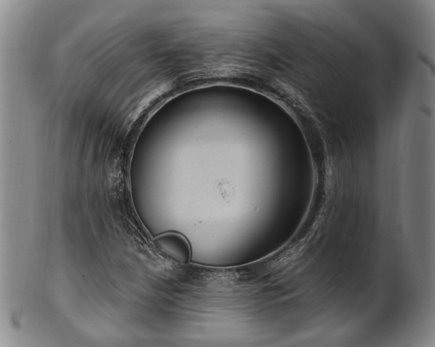 X0000102461210200808081220