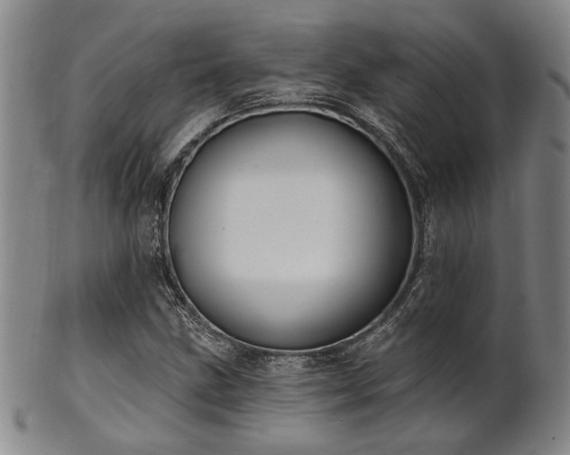 X0000102461211200808081220