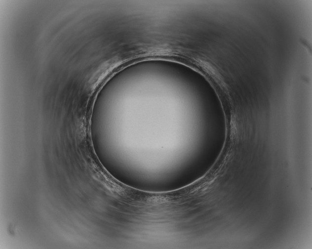 X0000102461212200808081220