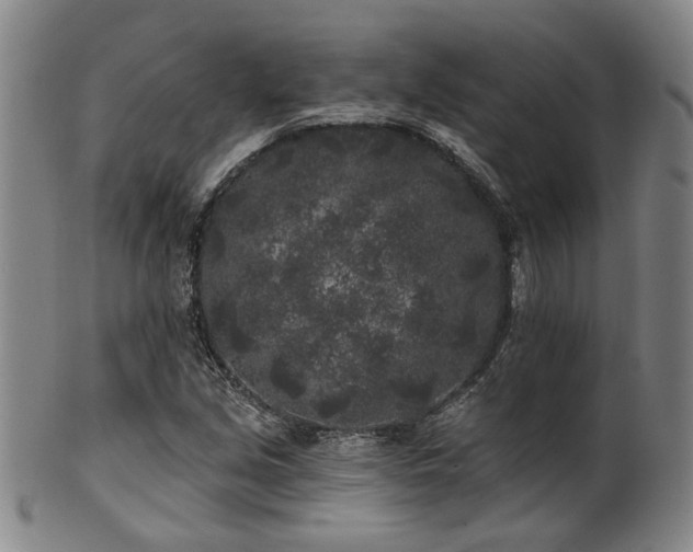X0000102461213200808081220