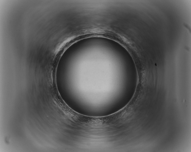 X0000102461214200808081220