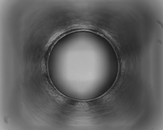 X0000102461215200808081220