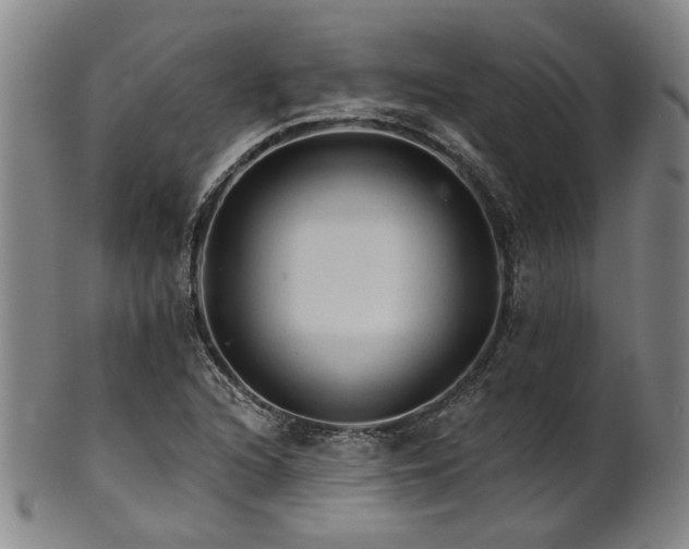 X0000102461216200808081220