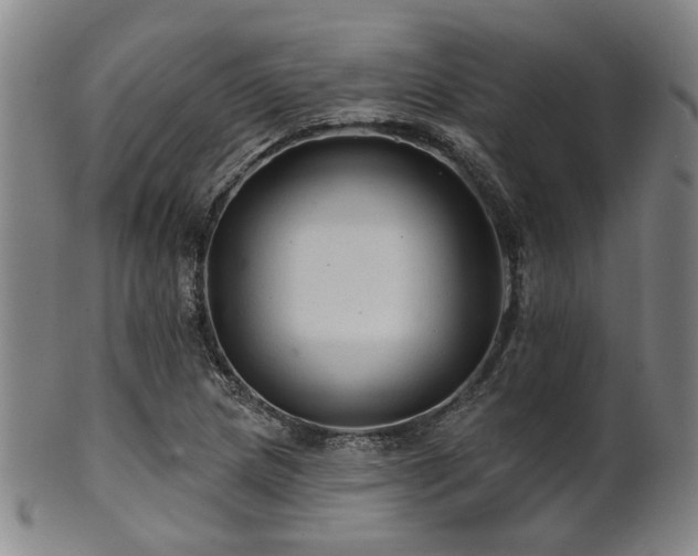 X0000102461217200808081220