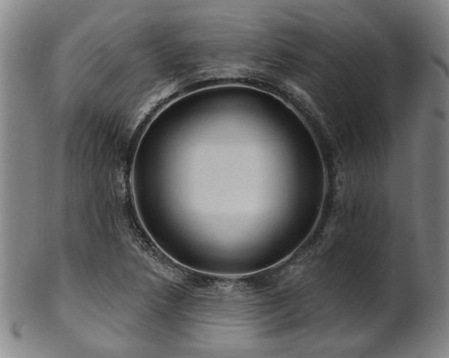X0000102461218200808081220