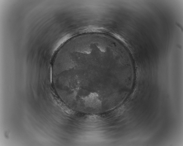 X0000102461219200808081220