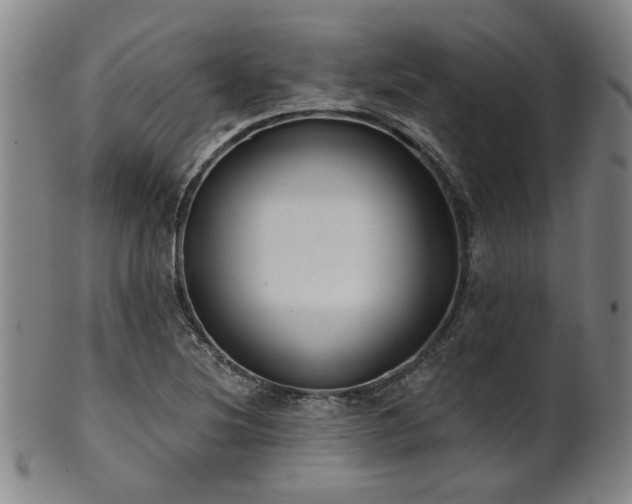 X0000102461220200808081220