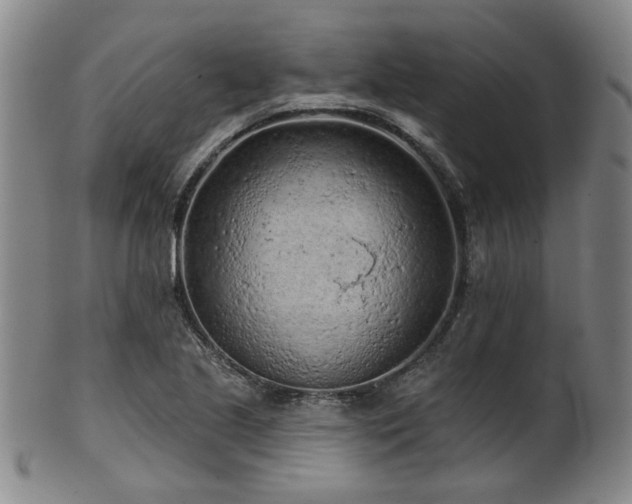 X0000102461221200808081220