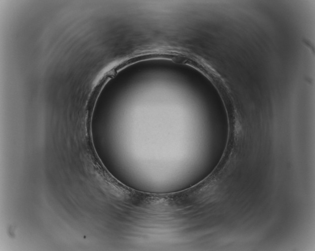 X0000102461222200808081220
