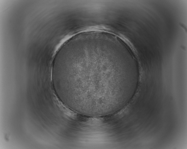 X0000102461224200808081220