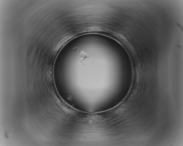 X0000102461225200808081220