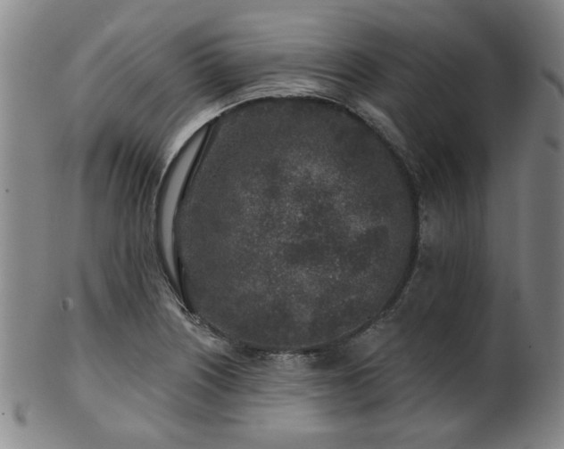 X0000102461226200808081220
