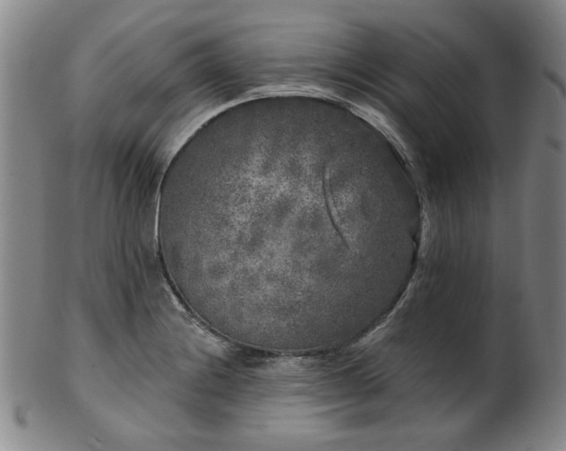 X0000102461228200808081220