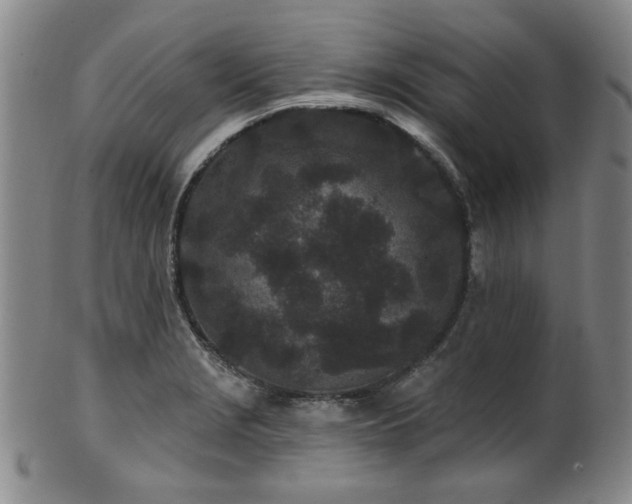 X0000102461229200808081220