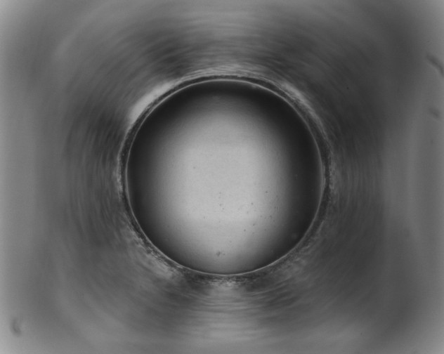 X0000102461230200808081220