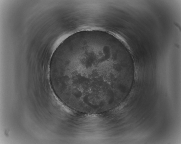 X0000102461231200808081220